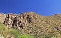 Mountain of Saguaro on Mount Lemmon in Tucson Arizona Royalty Free Stock Photo