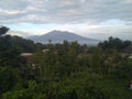 Mountain salak indonesia happy oksigen