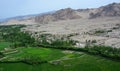 Mountain scene with the green valley in Ladakh, India Royalty Free Stock Photo