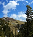 Mountain scene during spring, Velebit, Croatia 9 Royalty Free Stock Photo