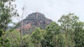 Mountain Scenery in the Australian bush with eucalypt trees