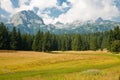 Mountain scenery, National park Durmitor