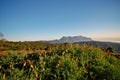 Mountain Scenery;Northern Thailand