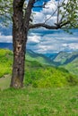 Mountain landscape with trees in front