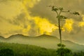 A mountain scenery of sri lanka