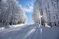 Mountain scenery in Vigla, Florina's ski center, Greece