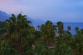 Mountain sea resort coast on the ocean shore at sunset. Mountains are covered in haze and clouds. Many palm trees and conifers Royalty Free Stock Photo