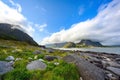 Mountain and sea views with rocks and flowers during the day. Blue sky at lofoten island Royalty Free Stock Photo