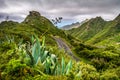 Mountain serpentine. The road is mountainous. The way from Anaga to Santa Cruz de Tenerife. Stunning top view. Anaga, Tenerife, C