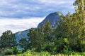 Mountain Altai landscape. Altai Republic, Russia Royalty Free Stock Photo