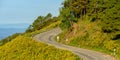 Mountain sharp curve road with wild Mexican sunflower blossom