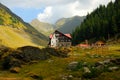 Mountain shed Royalty Free Stock Photo