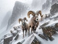 Mountain Sheep Herd Rams Bighorn Winter Wilderness Wildlife Snowy Rocky Mountains Canada AI Generated Royalty Free Stock Photo