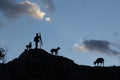 Mountain and sheep silhouette with shepherd
