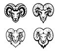 Mountain sheep Sketchy