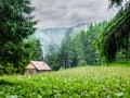 Mountain shelter in Carpathians during inclement weather Royalty Free Stock Photo