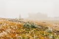 Mountain shelter in the fog on a mountain hiking trail, slightly frosted vegetation on a foggy day