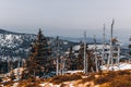 Mountain shelter in a winter sunny day, Giant Mountains, Poland Royalty Free Stock Photo