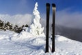 Mountain ski on frozen pine tree background Royalty Free Stock Photo