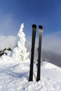 Mountain ski on frozen pine tree background Royalty Free Stock Photo