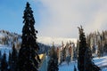 Mountain ski resort winter landscape photo. Tall fir trees and chalet houses covered with snow. Vacation and holiday Royalty Free Stock Photo