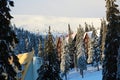 Mountain ski resort winter landscape photo. Tall fir trees and chalet houses covered with snow. Vacation and holiday Royalty Free Stock Photo