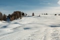 Mountain Ski Slope Landscape in Sunny Day: White Snow and Fir Royalty Free Stock Photo