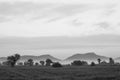 Mountain ,sky and fog with paddy field in morning