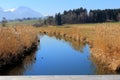 Mountain skyline behind reed and stream