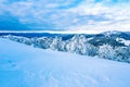 Mountain slope after heavy blizzard, beautiful landscape.Tree branches covered in thick snow layer Royalty Free Stock Photo