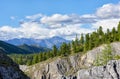 Mountain slope overgrown with Siberian cedars on beautiful summer day Royalty Free Stock Photo