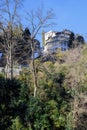 A mountain slope with trees with fallen leaves and fragments of houses on top Royalty Free Stock Photo