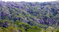 Mountain slopes of the oceanic coast with tropical vegetation