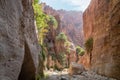 Mountain slopes overgrown with the green plants and the green date palms in the gorge Wadi Al Ghuwayr or An Nakhil and the wadi Al