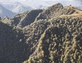 Mountain slopes and rocks overgrown with dense vegetation of trees in the morning light Royalty Free Stock Photo