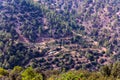 Mountain slopes with trees, terrases and roads in the Troodos re