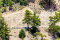 Mountain slopes with trees, terrases and roads in the Troodos re