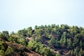 Mountain slopes with trees, terrases and roads in the Troodos re