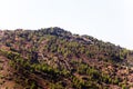 Mountain slopes with trees, terrases and roads in the Troodos re