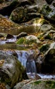 Mountain small river in forest with rapids and waterfalls. A forest creek