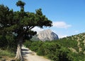 Mountain Sokol in Crimea Royalty Free Stock Photo
