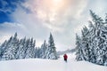 Mountain sport turist forest winter Royalty Free Stock Photo