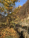 mountain spring and autumn Ukrainian mountains