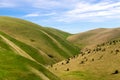 Mountain spring landscape. Green-yellow hills, trees and a bright blue sky with clouds.