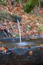 Mountain spring of pure, clear, fresh water with water trough in the forest Royalty Free Stock Photo
