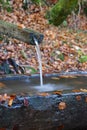 Mountain spring of pure, clear, fresh water with water trough in the forest