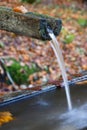 Mountain spring of pure, clear, fresh water with water trough in the forest