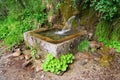 Mountain spring water in a stone fountain surrounded by plants