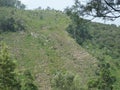 Mountain in Srilanka