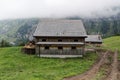 Mountain stable, wooden house with manure pile on left side, six open windows, green meadow with forest road on right side,